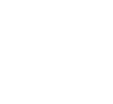 leaf-03